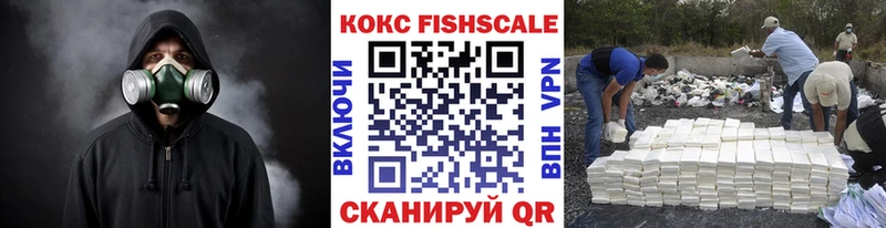 Cocaine FishScale  Купить где  Пыталово 
