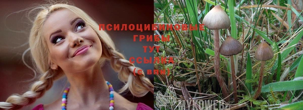 таблы Козловка