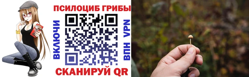 Купить где  Пыталово  Псилоцибиновые грибы прущие грибы 